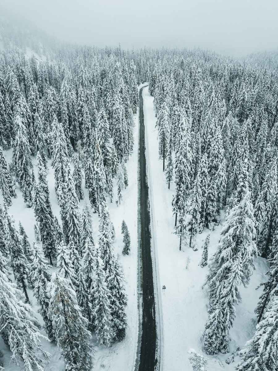 A walk towards the&nbsp;winter