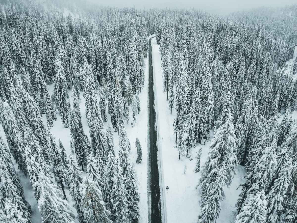 A walk towards the&nbsp;winter